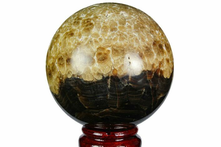 Polished Chocolate Calcite Sphere - Pakistan #149529